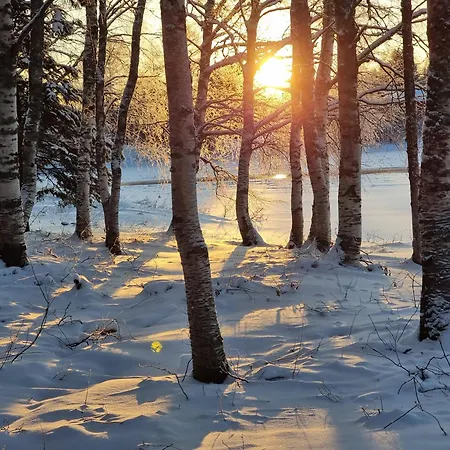 Apartment Wanha Kunnantalo